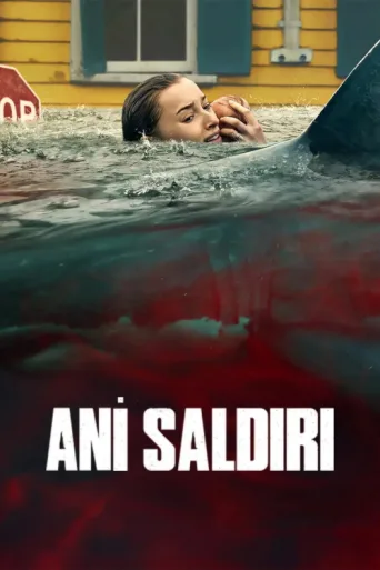 ملصق Ani Saldırı