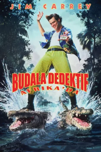 Постер Budala Dedektif Afrika'da