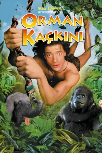 Постер Orman Kaçkını