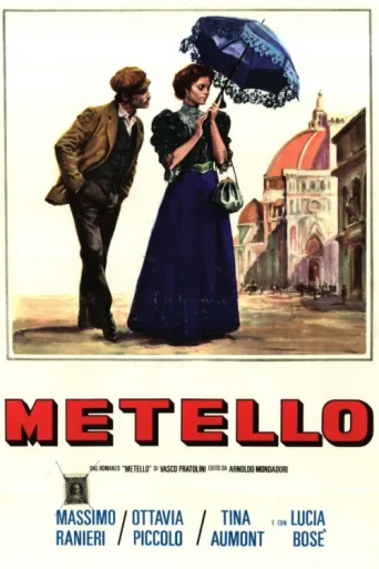 Постер Metello