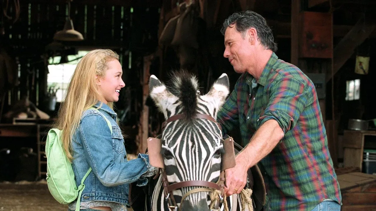 خلفية لـ Yarışçı Zebra