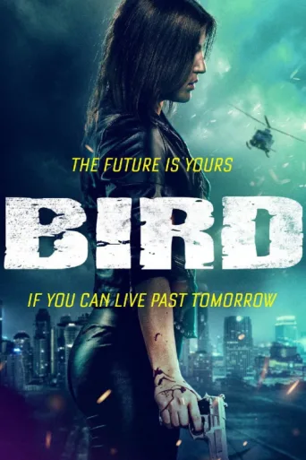 Постер Bird