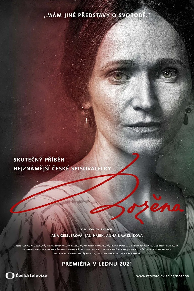 póster de Božena
