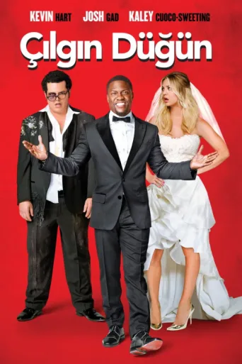 Poster for Çılgın Düğün
