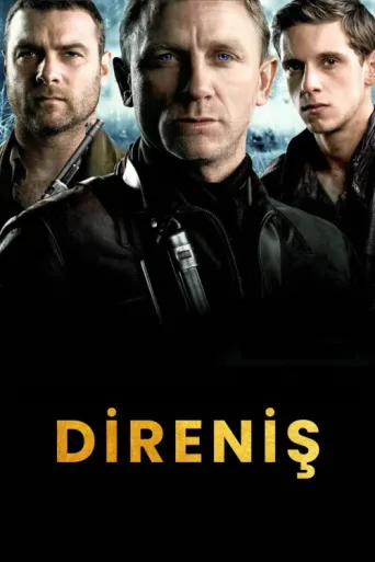 ملصق Direniş