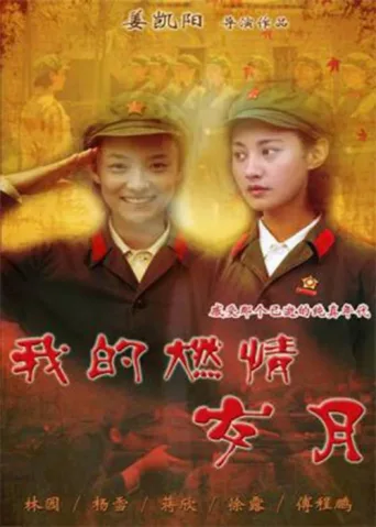 ملصق 我的燃情岁月