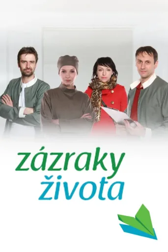 Póster de Zázraky života