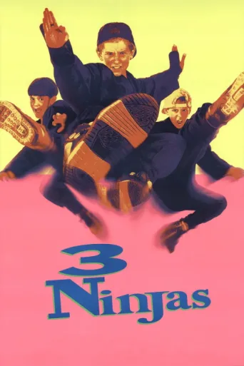 Póster de 3 Küçük Ninja