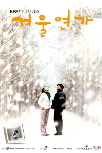 Winter Sonata afişi