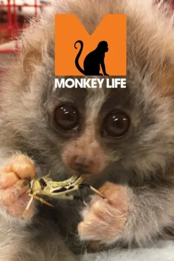ملصق Monkey Life