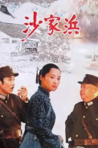 Постер 沙家浜