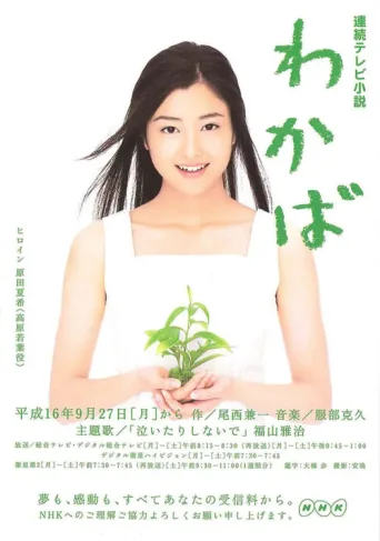 Постер Wakaba