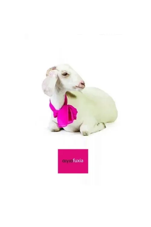 Aigia Fuxia