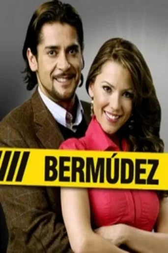 Póster de Bermúdez