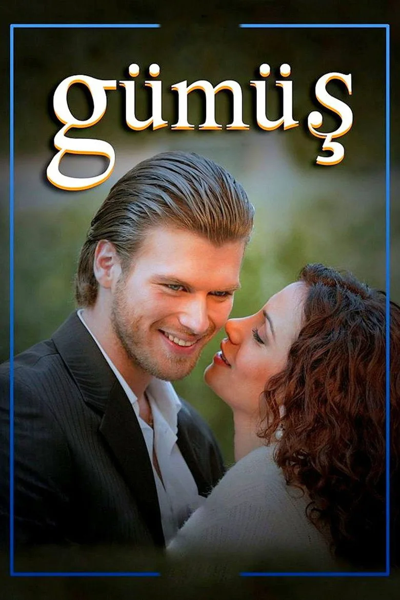Gümüş poster