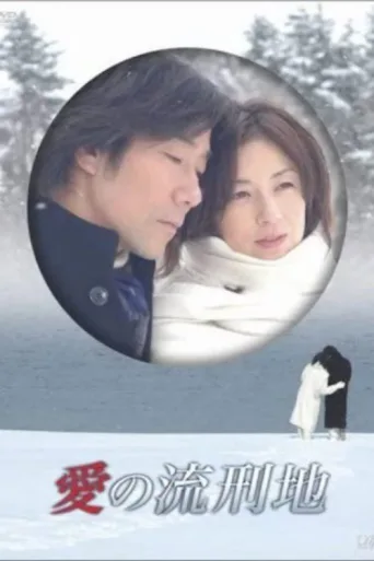 Poster for 愛の流刑地