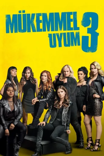 Póster de Mükemmel Uyum 3
