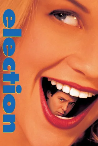 Póster de Seçimler