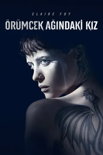 Постер Örümcek Ağındaki Kız
