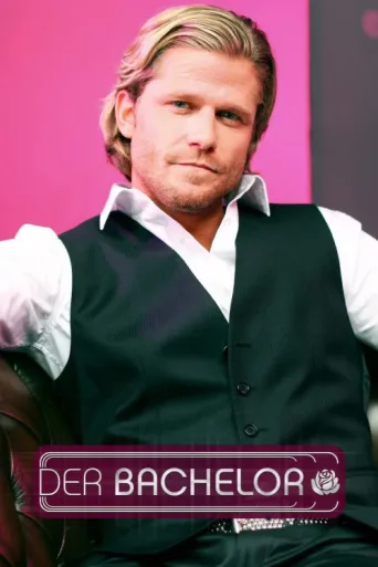 Постер Der Bachelor