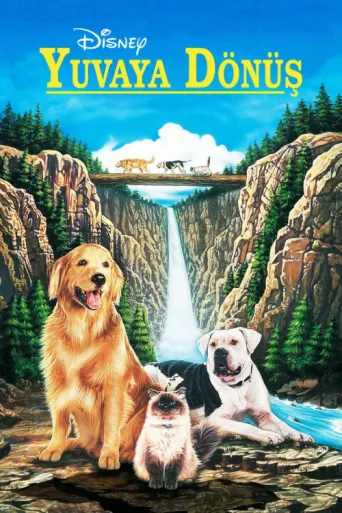 Poster for Yuvaya Dönüş