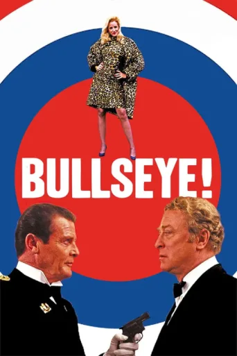Póster de Bullseye!