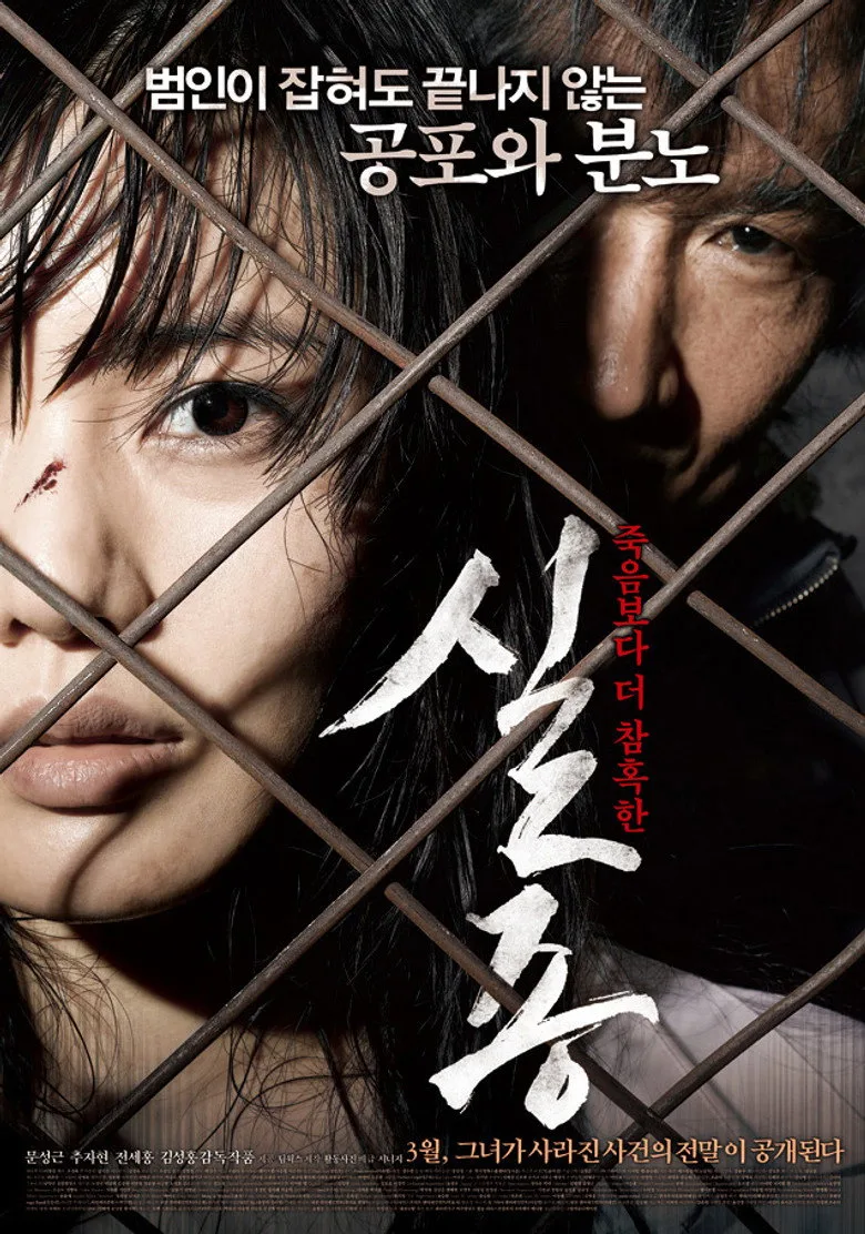실종 poster