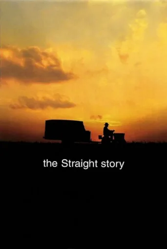 Poster for Straight'in Hikayesi