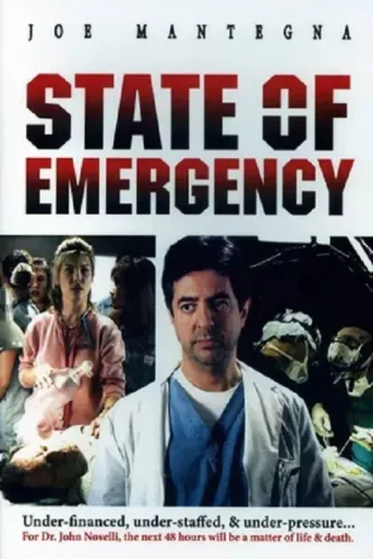 Постер State of Emergency