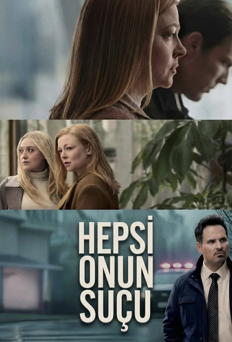 Hepsi Onun Suçu poster