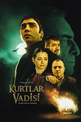 Poster for Kurtlar Vadisi