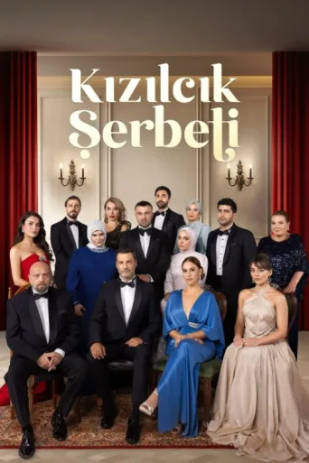 Póster de Kızılcık Şerbeti