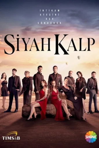 Постер Siyah Kalp