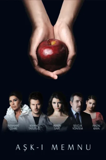 Poster for Aşk-ı Memnu