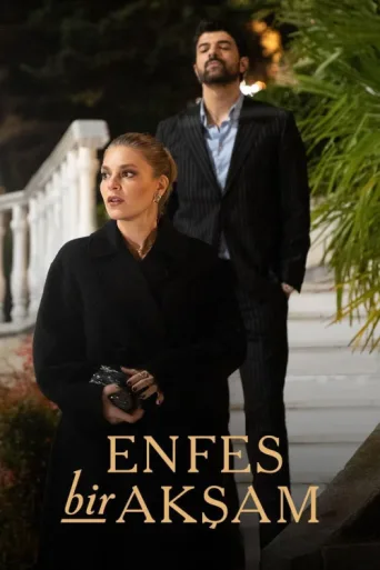 Постер Enfes Bir Akşam