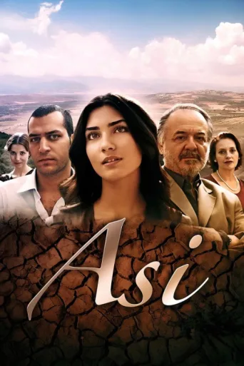 Póster de Asi