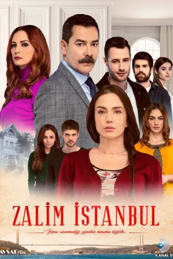 Póster de Zalim İstanbul