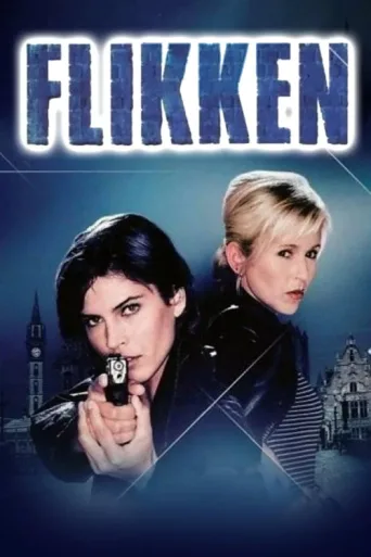 Постер Flikken