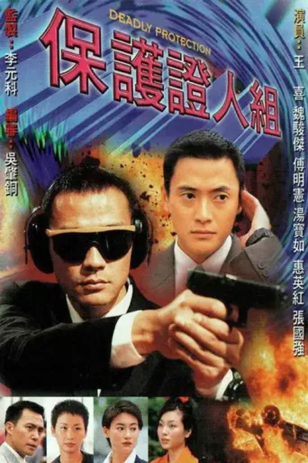 Póster de Deadly Protection