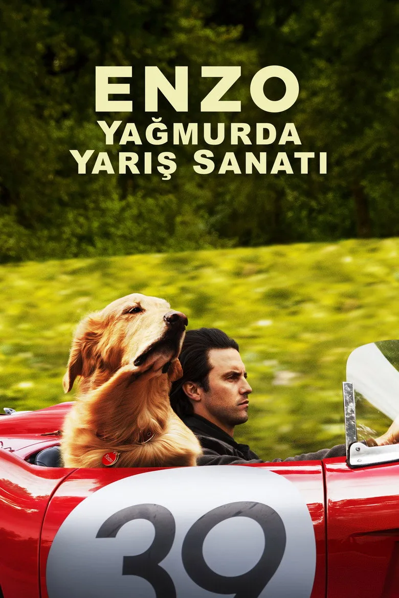 póster de Enzo: Yağmurda Yarış Sanatı