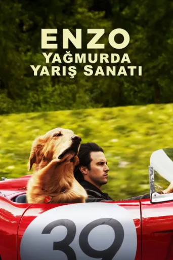 Póster de Enzo: Yağmurda Yarış Sanatı