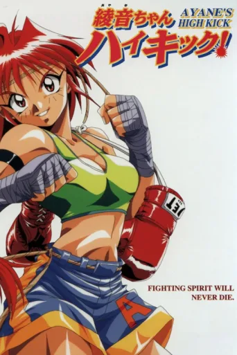 Póster de Ayane's High Kick