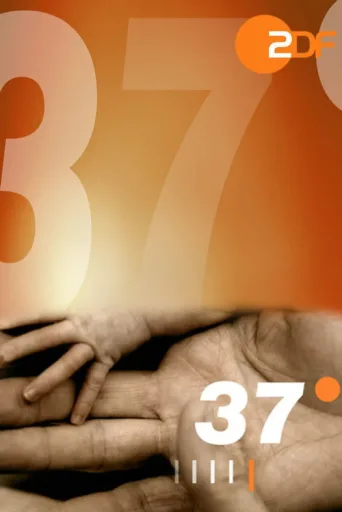 37 Grad afişi