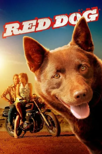 Póster de Kırmızı Köpek