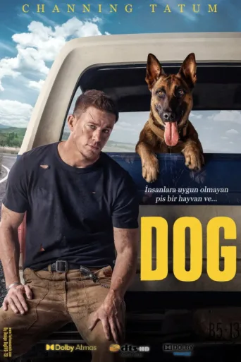 Poster for Köpek