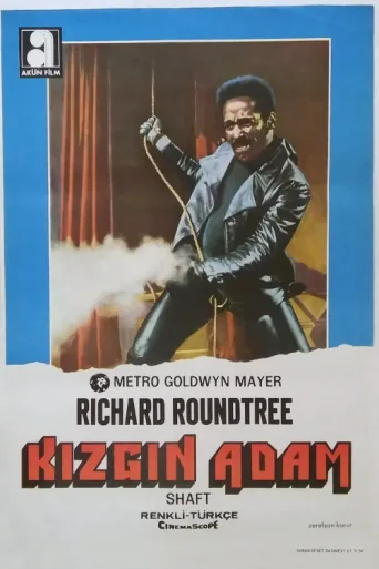 Poster for Kızgın Adam