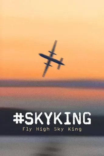 ملصق #SKYKING