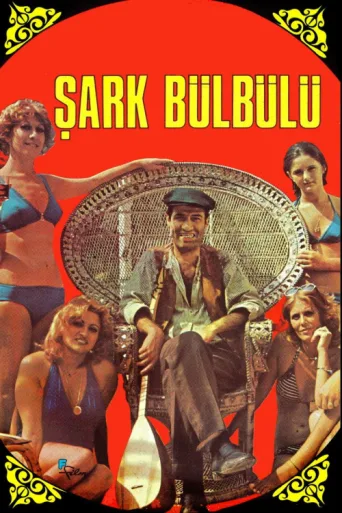 Постер Şark Bülbülü