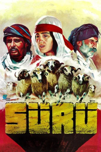 Poster for Sürü