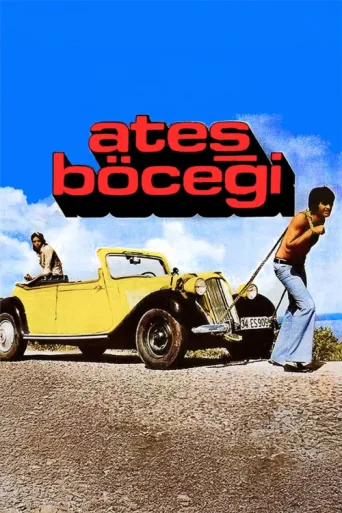 Poster for Ateş Böceği